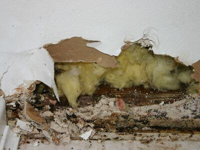 About Five Borough Reliable - burst pipe repair experts in Lockport